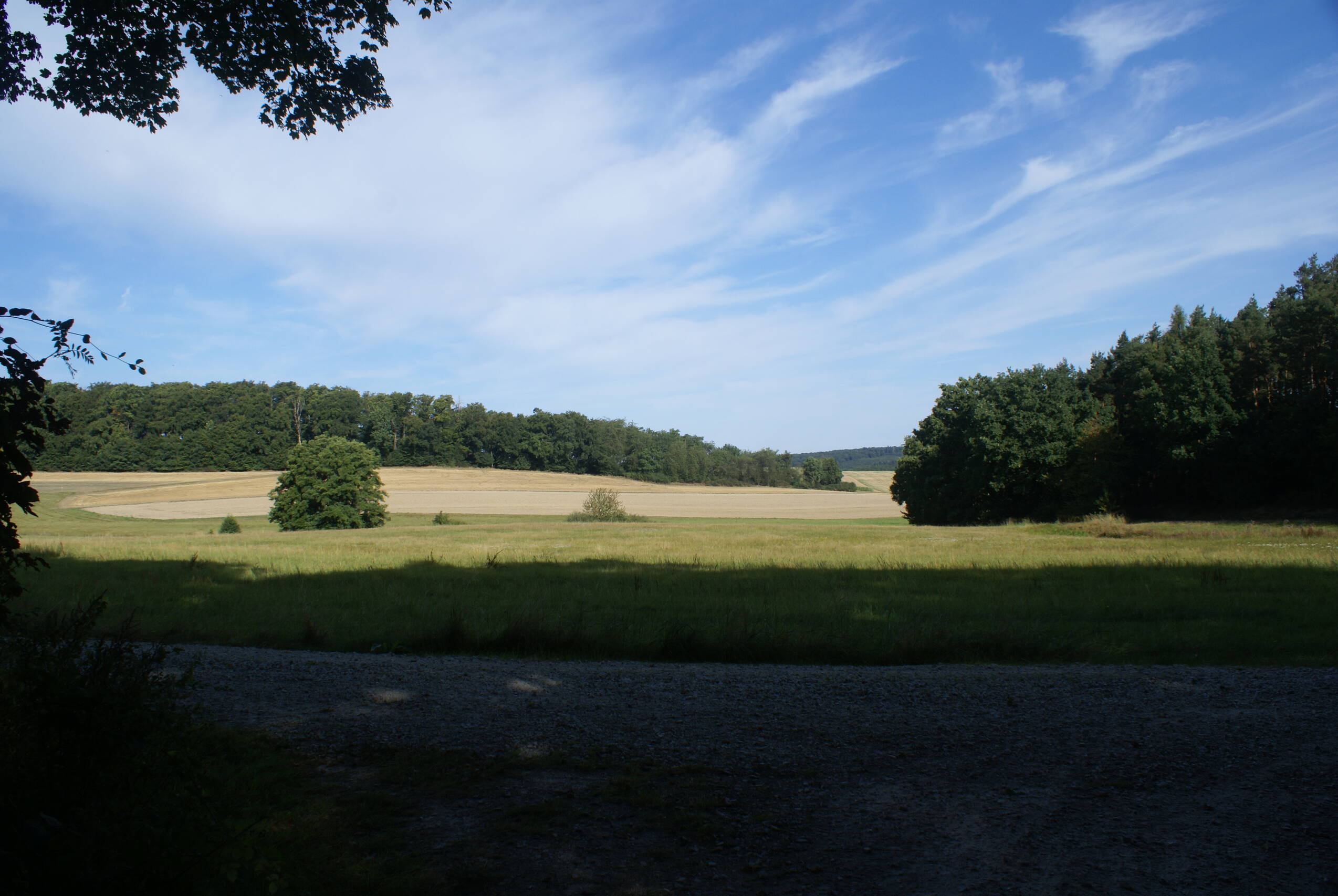 Weitblick über Wiesen