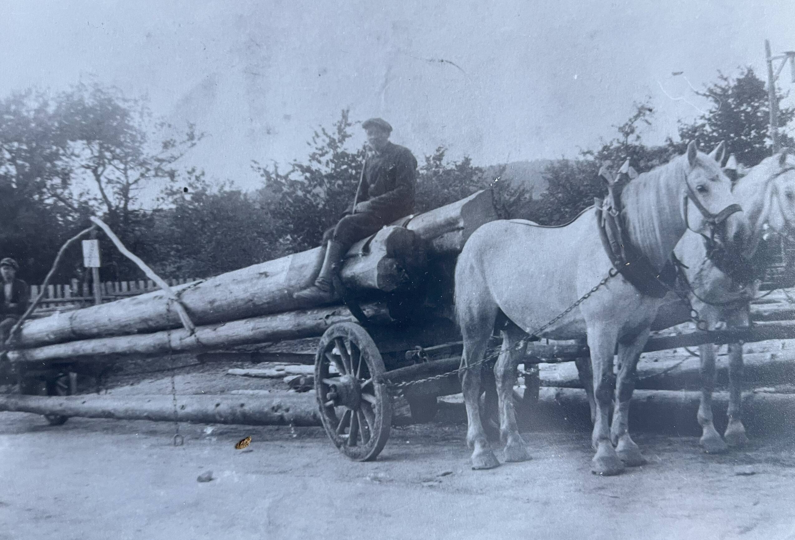 Holzfuhrwerk