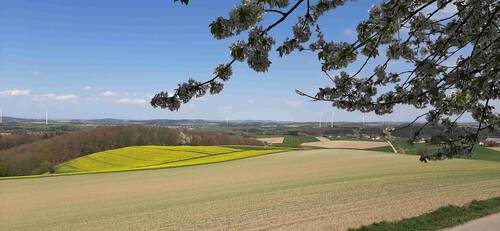 Blick über den Hunsrück bei Sosberg