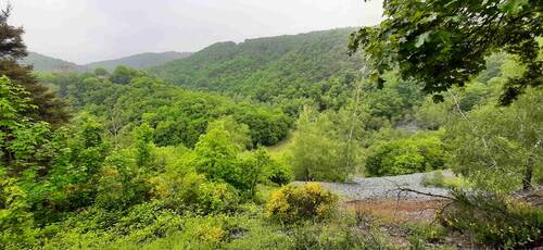Hunsrück Fernsichten über Wälder